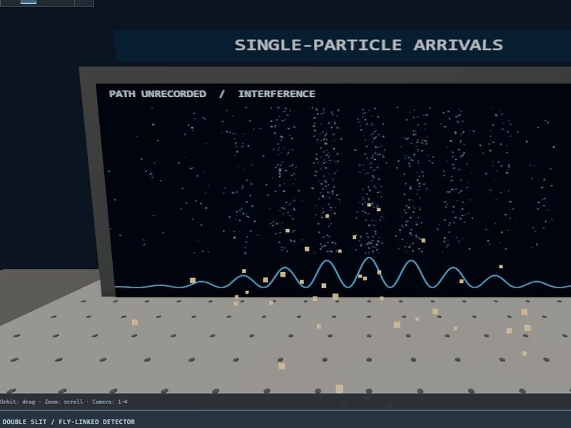 Double-Slit Detector: fly brain experiment scene