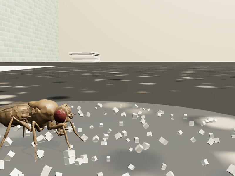 Looming Escape (Fly Swatter): fly brain experiment scene
