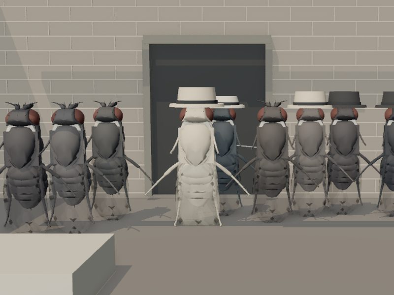 Ruby and Oswald Photograph Reconstruction: fly brain experiment scene