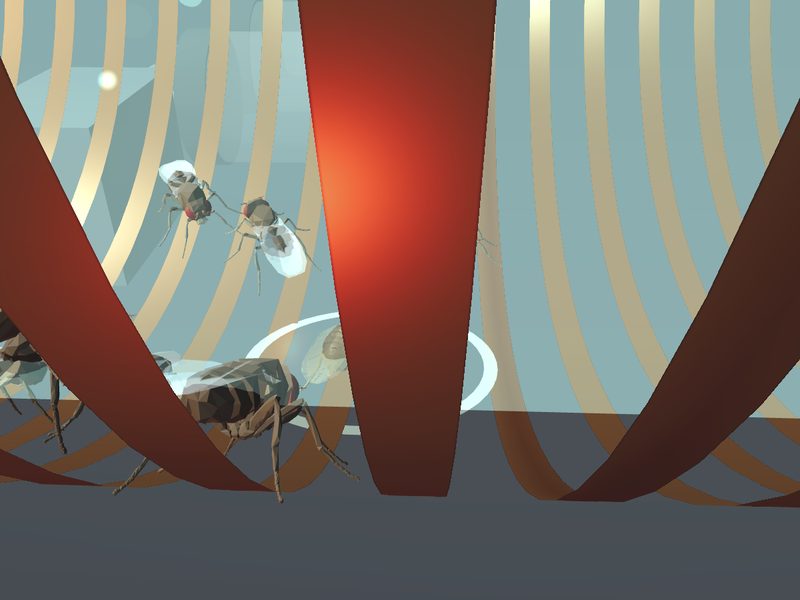 T-Maze Odor Conditioning: fly brain experiment scene